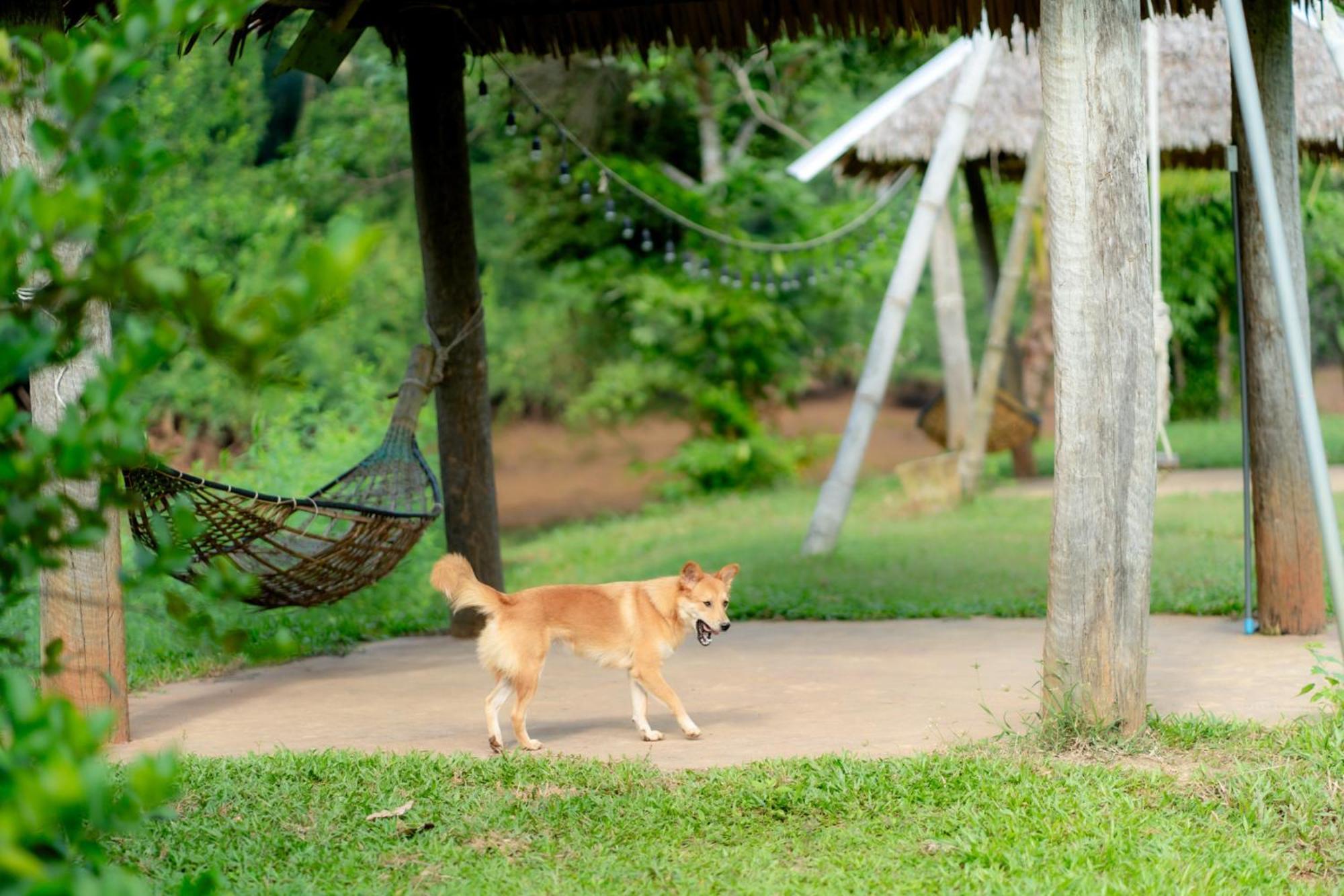 Chiewlan Camp And Resort Ban Pha Saeng Lang Exterior photo
